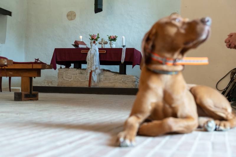 2025_06_19_gyalogos zar_06.jpg